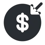 Money Recive SVG Icon